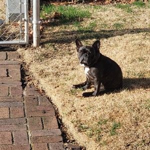 Meet your Posher, Rhonda